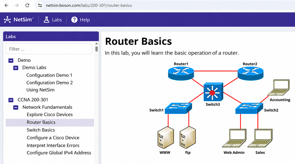 NetSim Connecting Devices Simulation